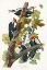 Picture of PILEATED WOODPECKER