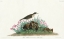 Picture of PRAIRIE TITLARK