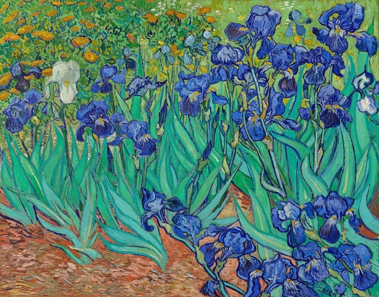 Picture of IRISES (1889)