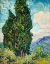 Picture of CYPRESSES (1889)