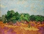 Picture of OLIVE TREES (1889)