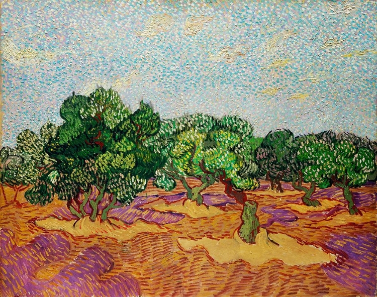 Picture of OLIVE TREES (1889)