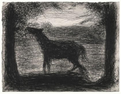 Picture of FOAL, LE POULAIN