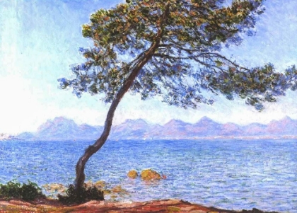 Picture of CAP DANTIBES