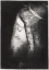 Picture of PROFILE OF LIGHT