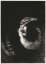 Picture of IT IS A SKULL, CROWNED WITH ROSES. IT DOMINATES A WOMAN’S PEARLY–WHITE TORSO