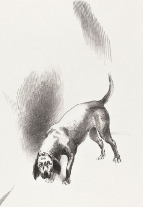 Picture of THE DOG