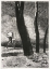 Picture of LE JOUEUR
