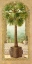 Picture of PALM TREE IN BASKET II