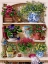 Picture of FLOWER CUPBOARD