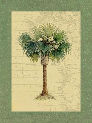 Picture of PALM TREE V