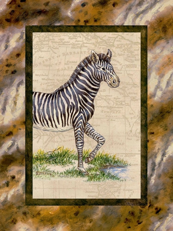 Picture of ZEBRA