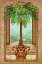 Picture of CLASSICAL PALM TREE