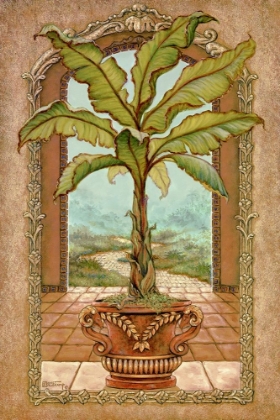 Picture of CLASSICAL BANANA TREE
