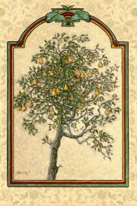 Picture of CLASSICAL PEAR