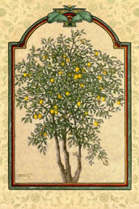 Picture of CLASSICAL LEMON