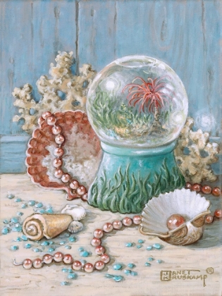 Picture of SEA SHELL COLLECTION III