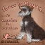 Picture of TO FORGIVE IS CANINE