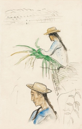 Picture of SKETCHES OF FIGURES, PANDANUS LEAF, AND VANILLA PLANT