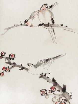 Picture of THREE BIRDS PERCHED ON BRANCHES, ONE WITH BLOSSOMS
