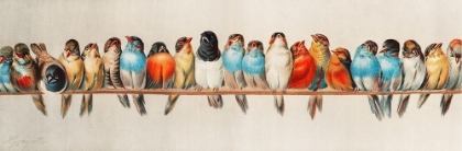 Picture of A PERCH OF BIRDS