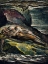 Picture of THE EAGLE ILLUSTRATION FROM MILTON