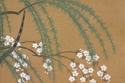 Picture of BLOSSOMS FROM MOMOYOGUSA