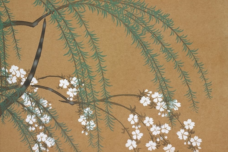 Picture of BLOSSOMS FROM MOMOYOGUSA