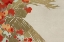 Picture of FLOWERS FROM MOMOYOGUSA