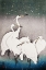Picture of GROUP OF EGRETS