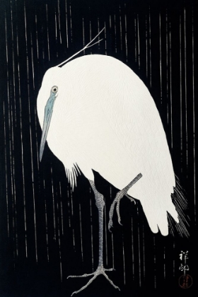 Picture of EGRET IN THE RAIN
