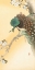 Picture of PEACOCK ON A CHERRY BLOSSOM TREE
