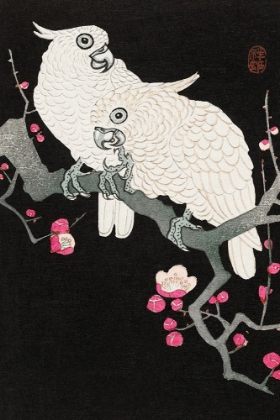 Picture of TWO COCKATOO AND PLUM BLOSSOM