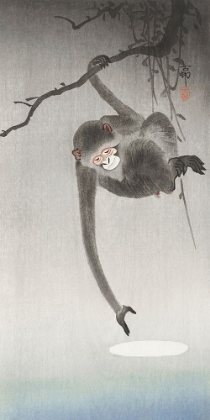 Picture of MONKEY AND REFLECTION OF THE MOON