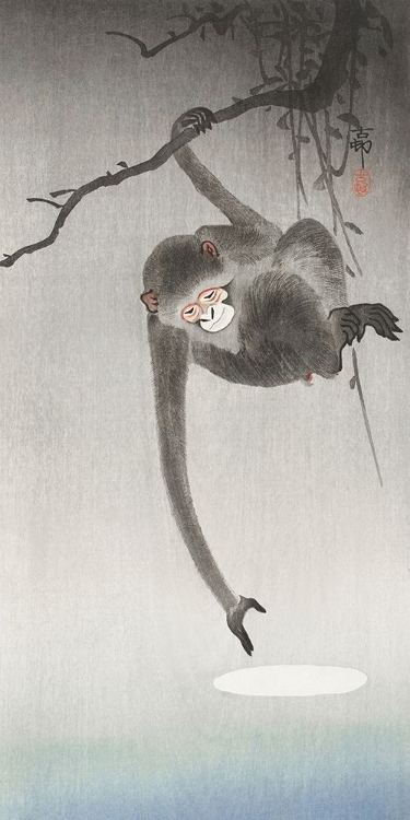 Picture of MONKEY AND REFLECTION OF THE MOON