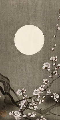 Picture of BLOOMING PLUM BLOSSOM AT FULL MOON