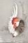 Picture of ROOSTER AND CHICKEN