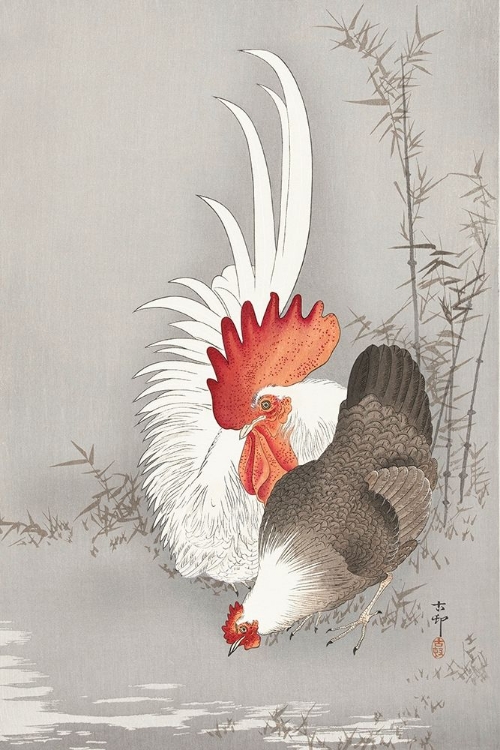 Picture of ROOSTER AND CHICKEN