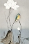 Picture of KINGFISHER WITH LOTUS FLOWER
