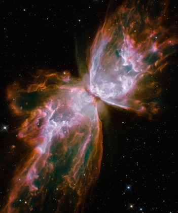 Picture of HUBBLE SPIES A BUTTERFLY