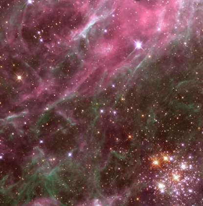 Picture of TARANTULA NEBULA