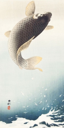 Picture of A JUMPING CARP