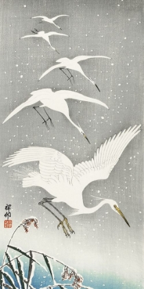 Picture of DESCENDING EGRETS IN SNOW
