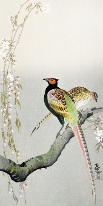 Picture of COUPLE PHEASANTS AND CHERRY BLOSSOM