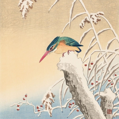 Picture of KINGFISHER IN THE SNOW