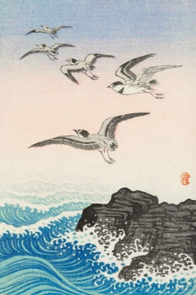 Picture of FIVE SEAGULLS ABOVE THE SEA