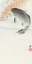 Picture of TWO CARP
