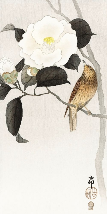 Picture of SONGBIRD AND FLOWERING CAMELLIA