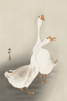 Picture of TWO GEESE