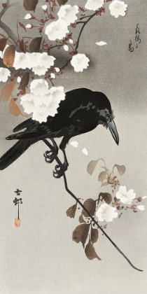 Picture of CROW AND CHERRY BLOSSOM